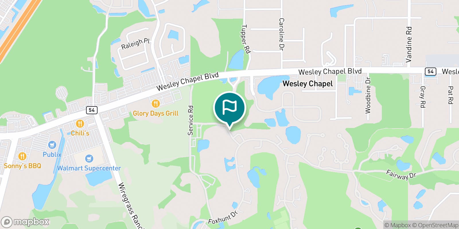 Street map of Saddlebrook Golf & Tennis Resort and its local surroundings.