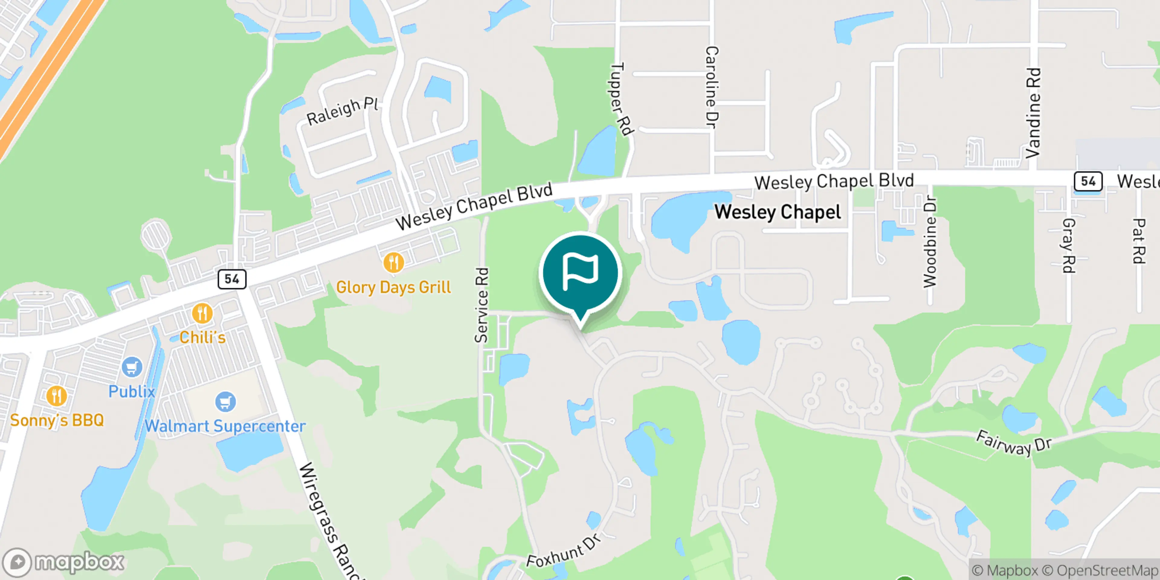 Street map of Saddlebrook Golf & Tennis Resort and its local surroundings.