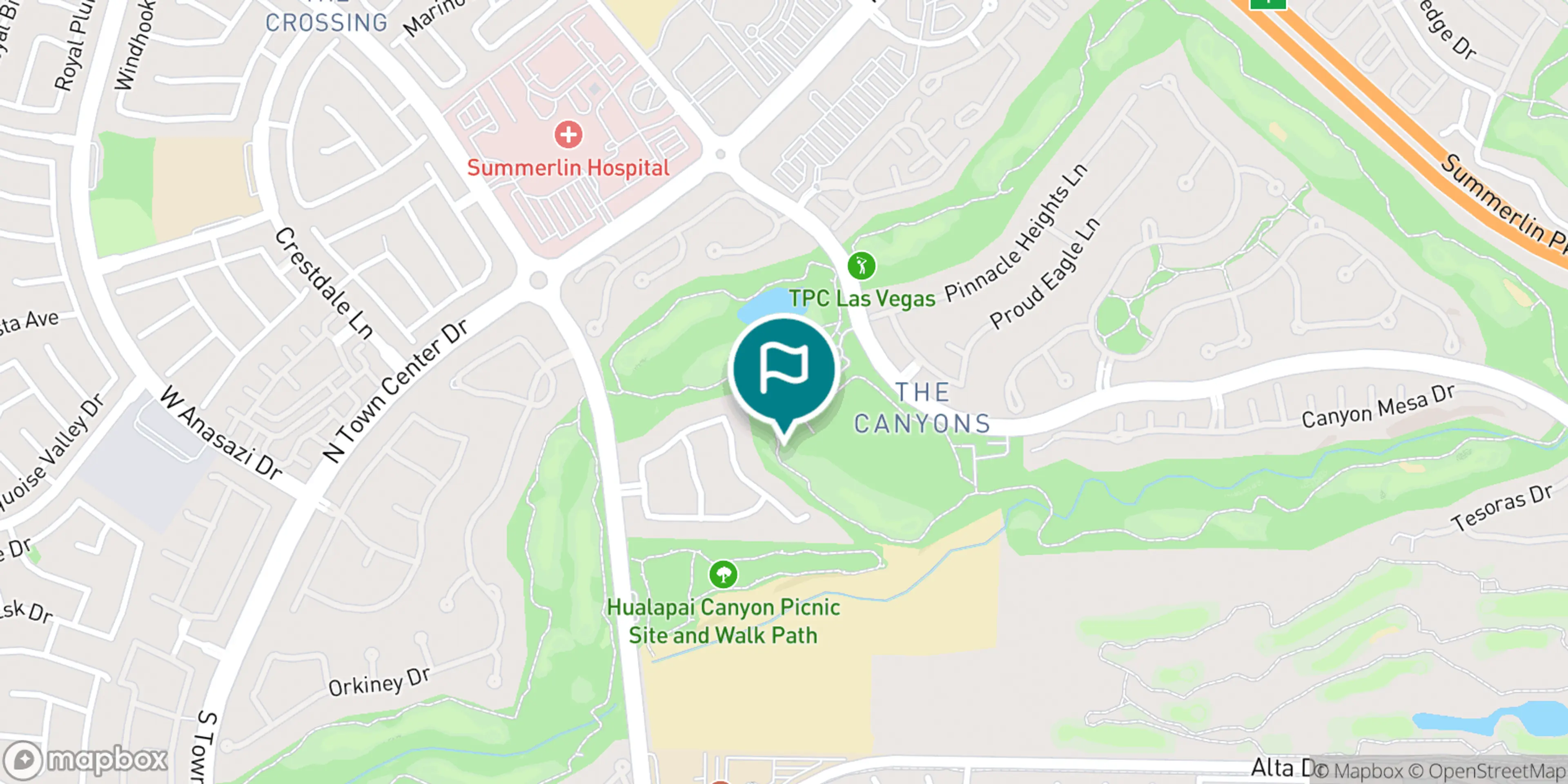 Street map of TPC Las Vegas and its local surroundings.